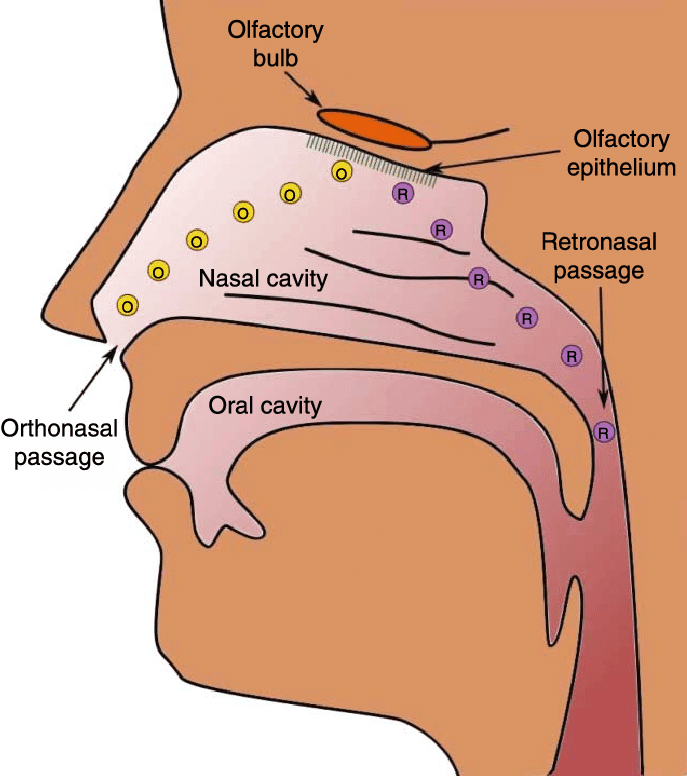 Unexplained smell loss and CoVid an increased risk of postviral anosmia?