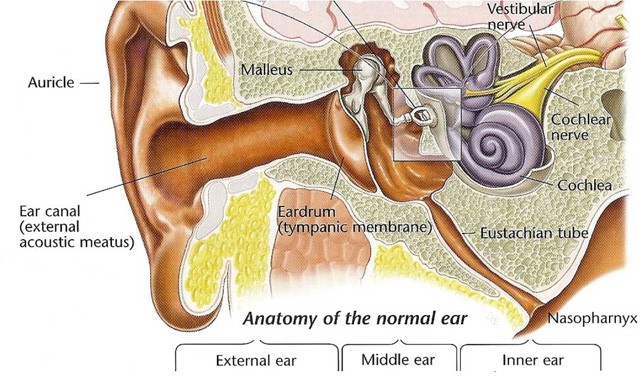 sinus barotrauma flying